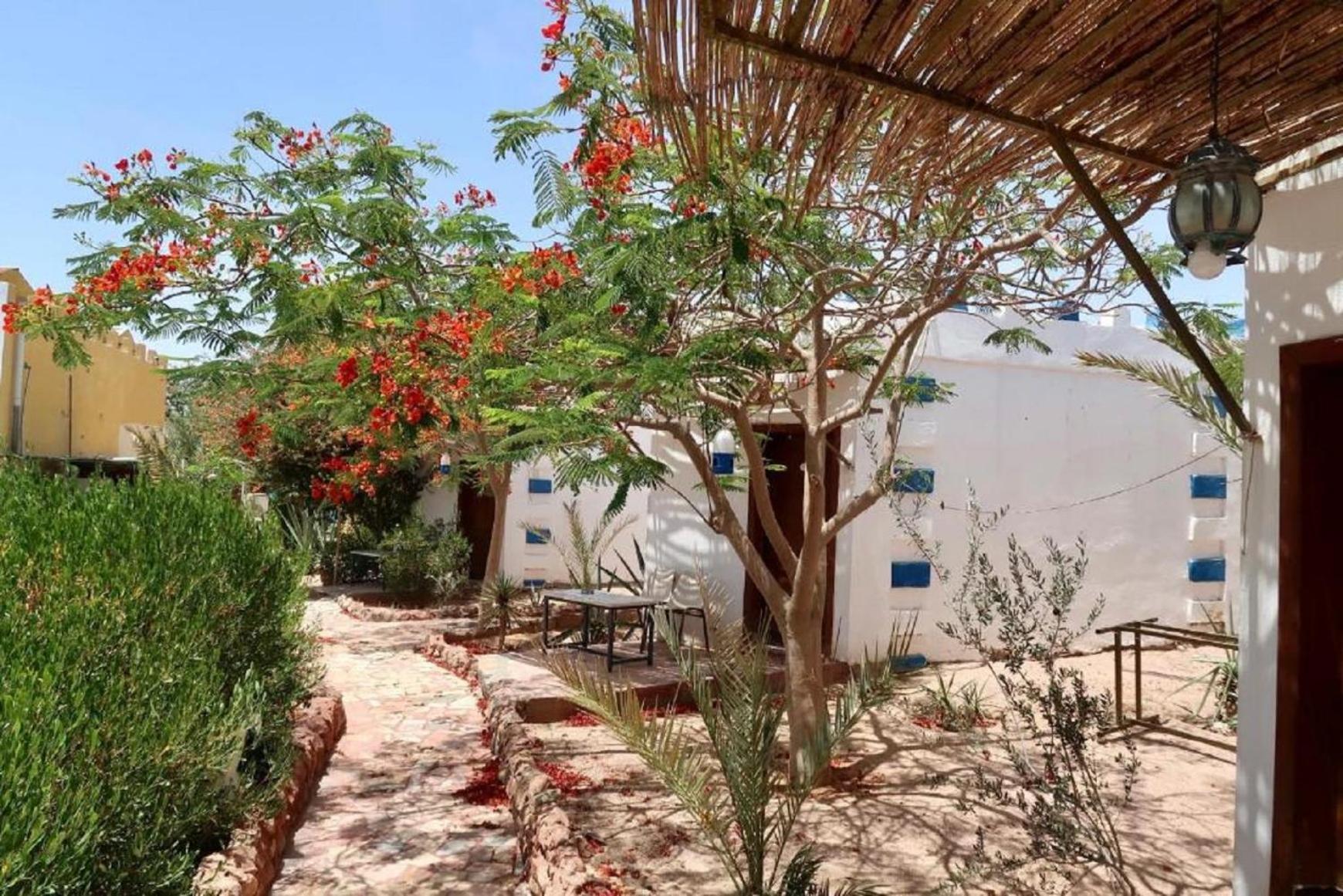 Bedouins Inn Village Aqaba Bagian luar foto